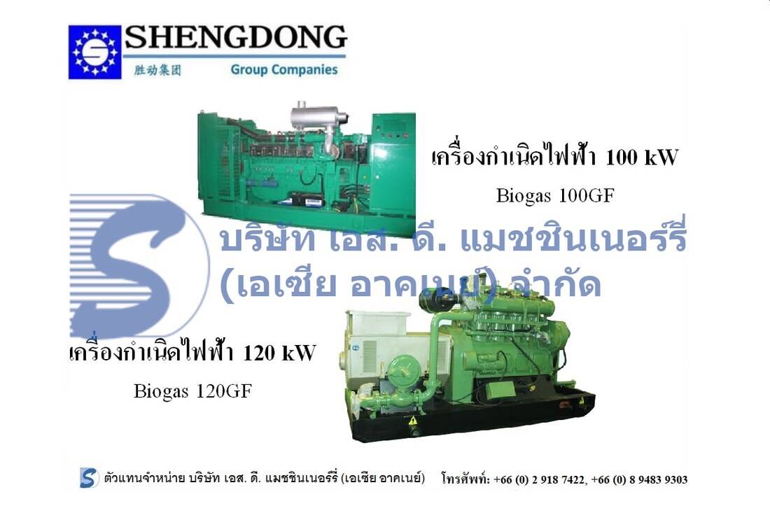 Shengdong 100-120 kW Generator Set