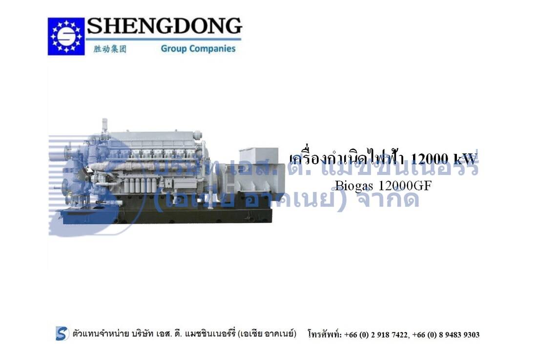 Shengdong 1,200 kW Generator Set