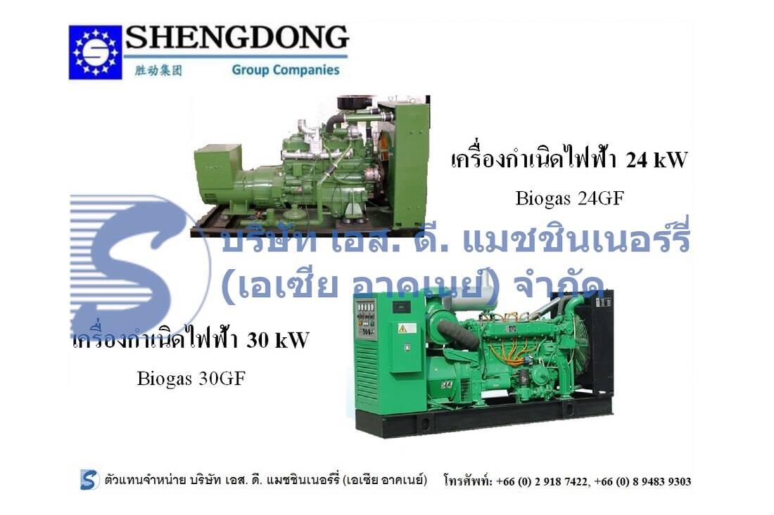 Shengdong 24-30 kW Generator Set