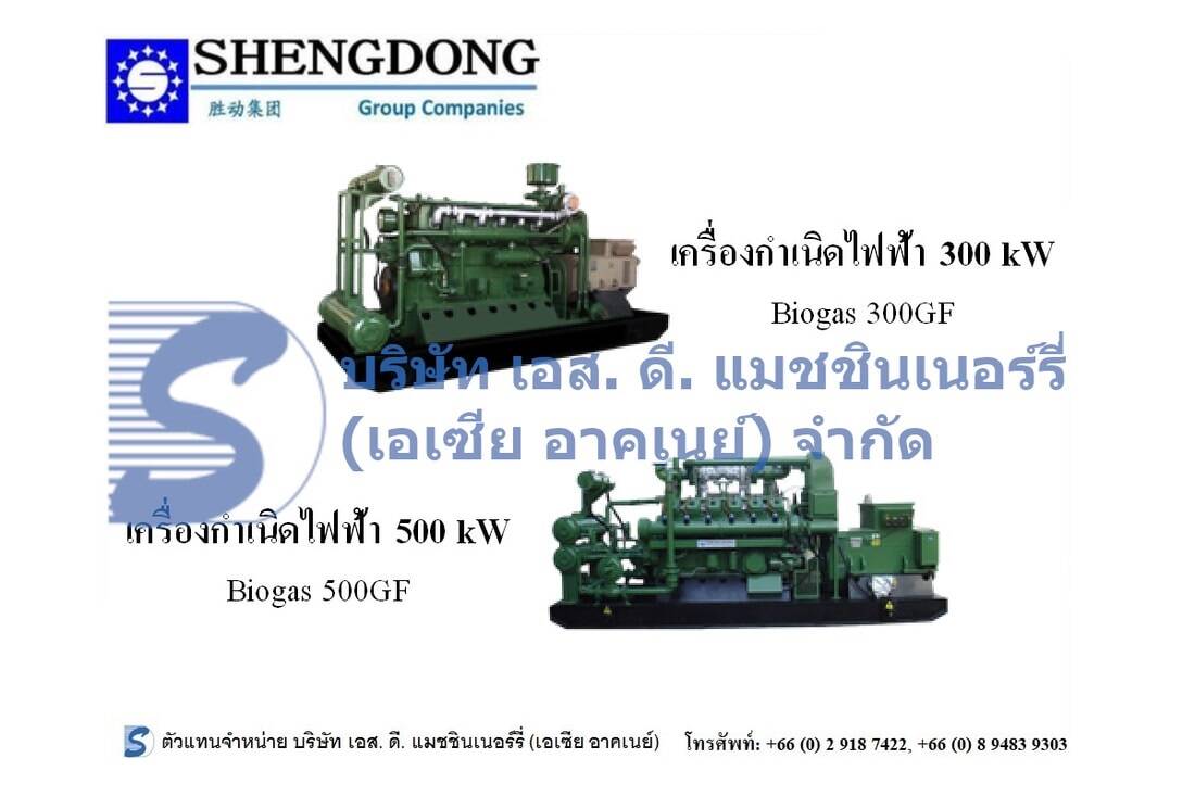 Shengdong 300-500 kW Generator Set