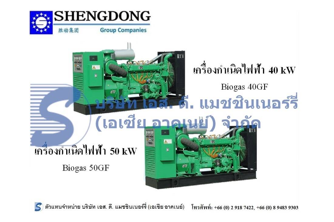 Shengdong 40-50 kW Generator Set