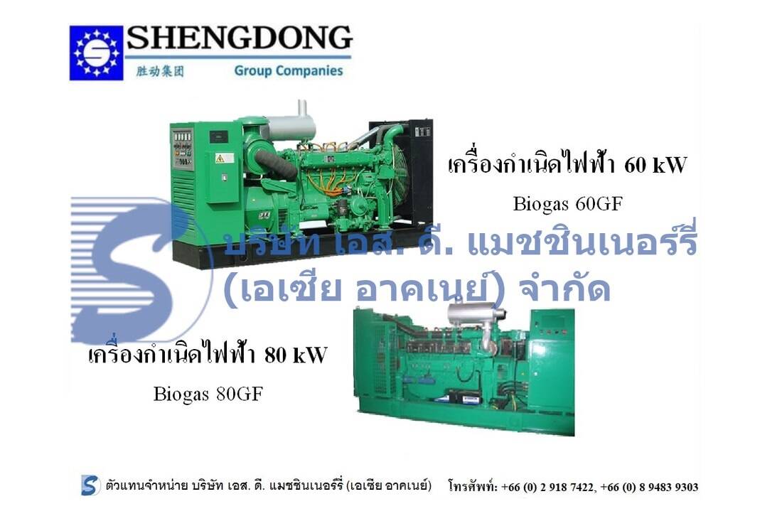 Shengdong 60-80 kW Generator Set