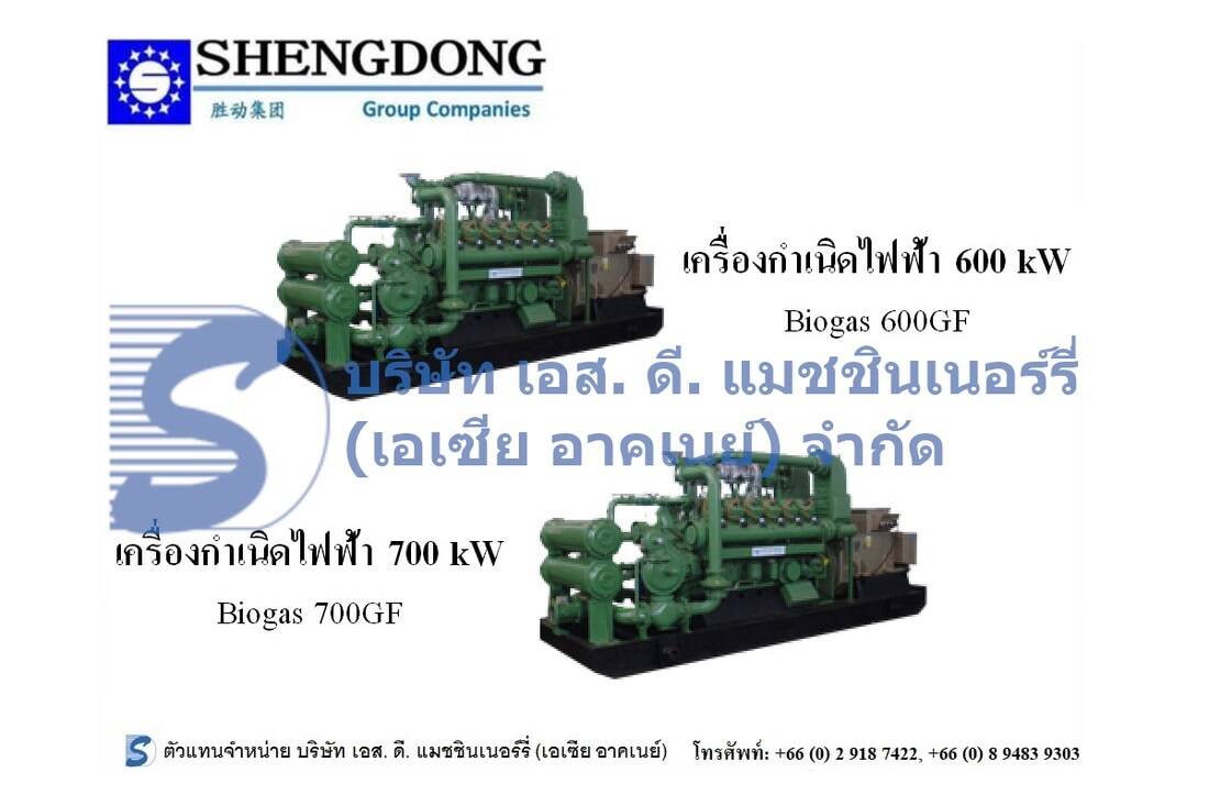Shengdong 600-700 kW Generator Set